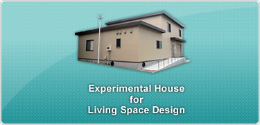 Experimental House for Living Space Design